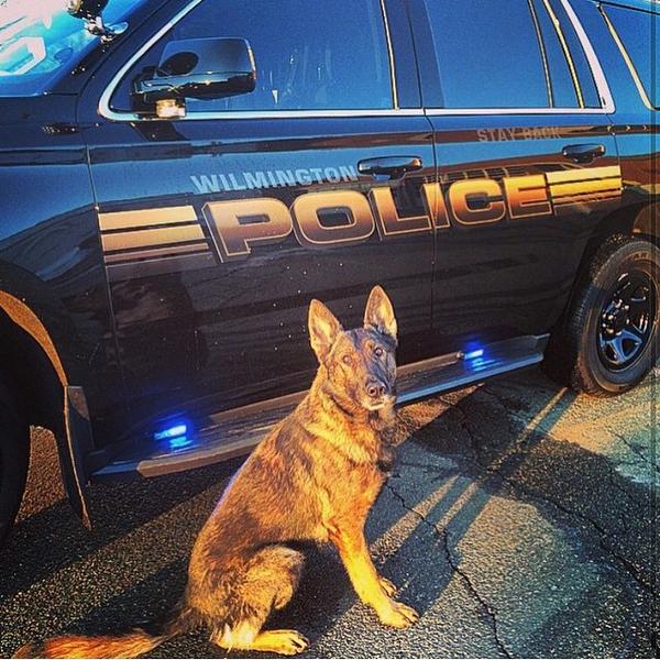Wilmington Police K9 Ridic 