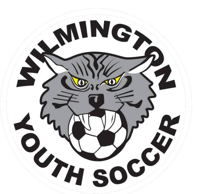 Wilmington Youth Soccer Association logo