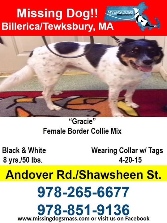 Gracie Missing Poster