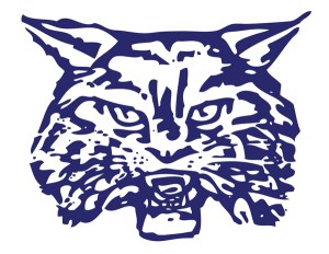 Wilmington Wildcat