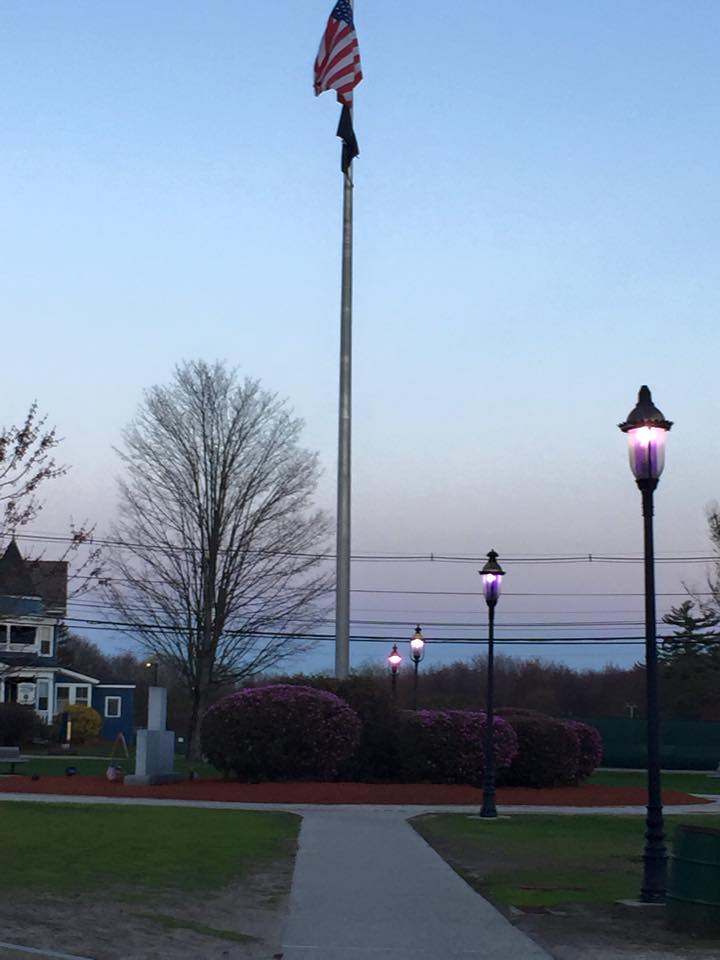 Purple lights on the Town Common in May (photo from Wilmington RFL's Facebook page)