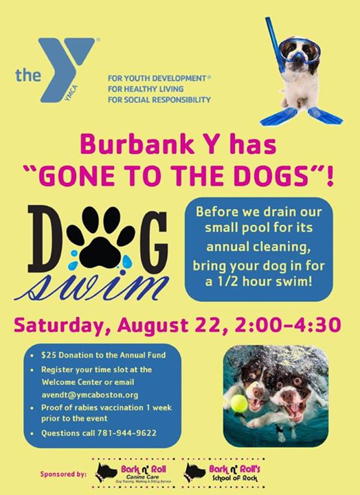 Burbank Y Has Gone To The Dogs