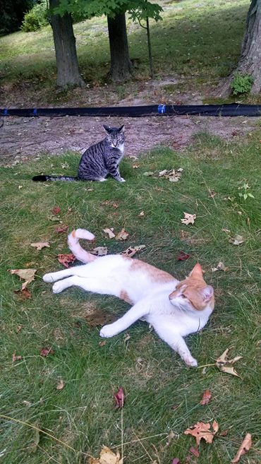 Pearl (in the forefront)