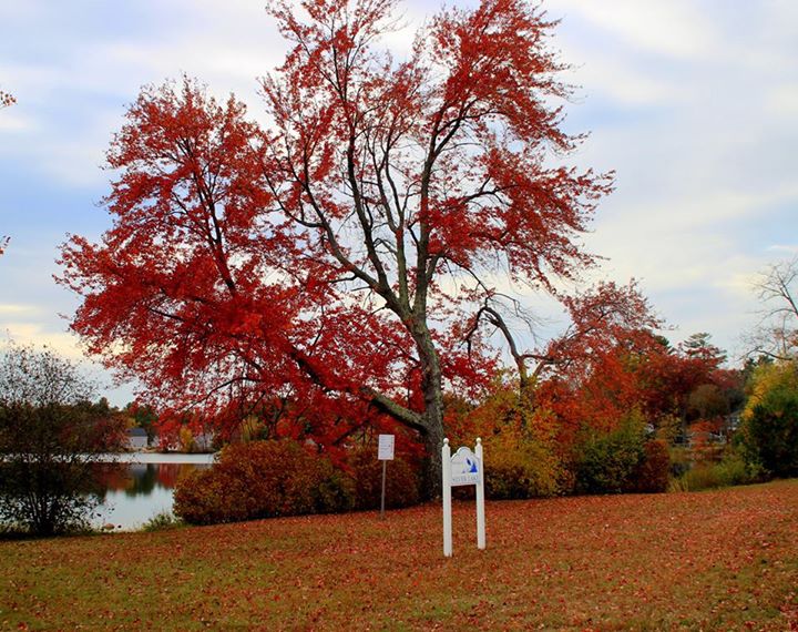 Wilmington In The Fall 3