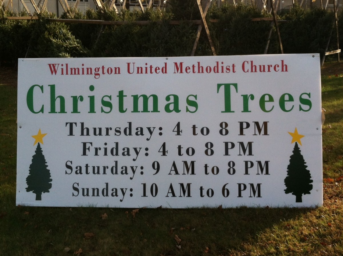 Two Places To Buy Christmas Trees In Wilmington Wilmington Apple