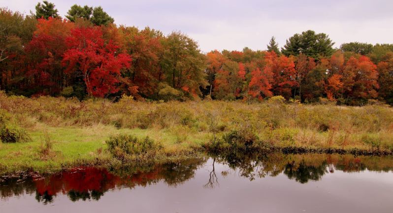 Fall In Wilmington 1