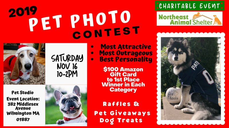 Pet Photo Contest