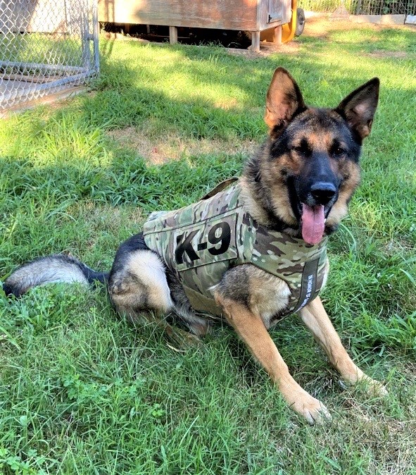 MSP K9 Kantor