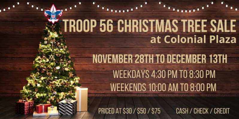 Troop 56 Christmas Trees
