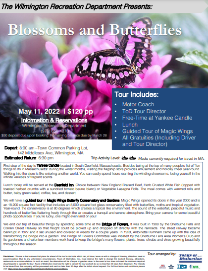 Blossoms & Butterflies