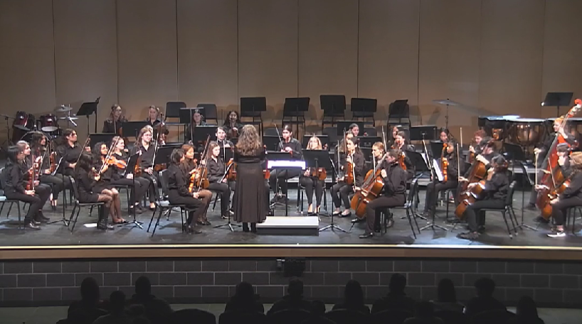 Wilmington Strings Concert