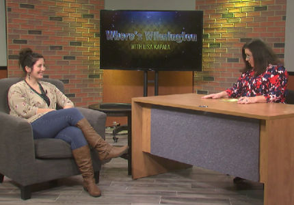 Window Painting Designer