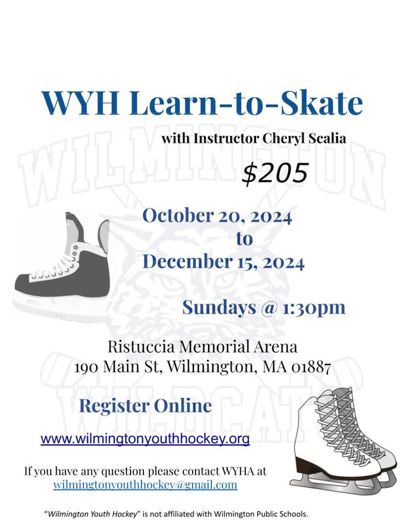 Learn To Skate
