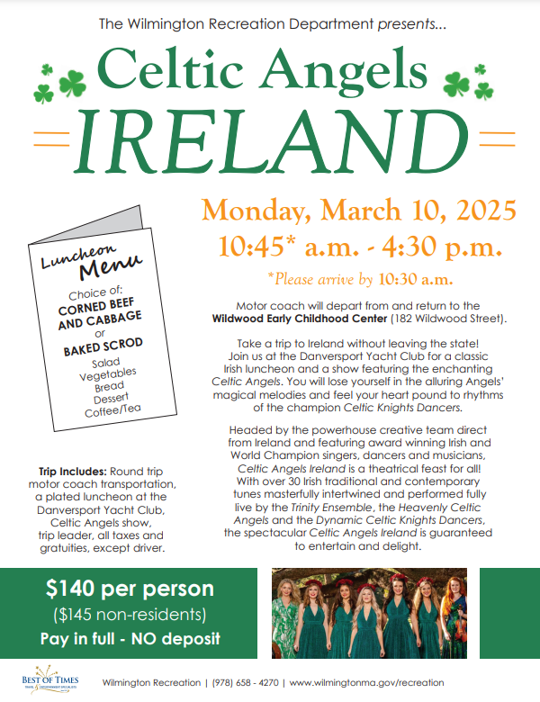 Celtic Angels Ireland